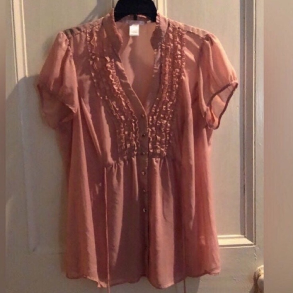 Pretty in Pink Blouse Size 2X